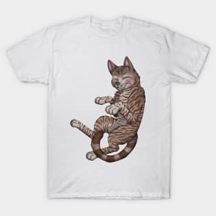 Chocolate Tabby Shorthair T-Shirt